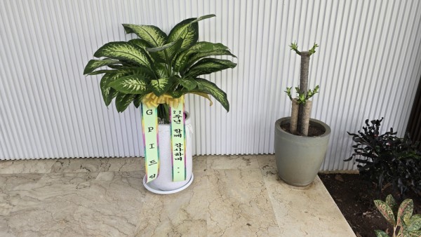 c6b8c285d6d5d3aac0e90991f3b5d297_1758275